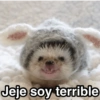 Jeje soy terrible