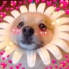 💖💞Love Reactions 3💞💖 21
