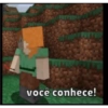Minecraft meme 5