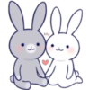 Lovely rabbit 8