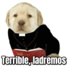 Perritos  17