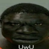 Memes 15