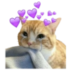 Gatos Sad 30