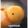 Chubby Yellow Dino meme 11