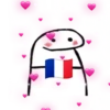 Flork with flags of countries 23