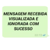MENSAGENS DO ZAP 😼 14