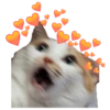 Gatos Sad 21