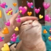 MEMES DE ❤️ 14