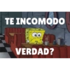 Bob preocupado 2 11