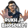 CarryMinati Stickers 13