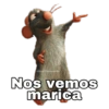 Ratatouille 28
