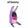 Feddy 6