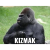Goril 23