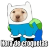 Perritos  19