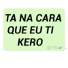 MENSAGENS DO ZAP 😼 16