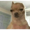Reaction pics 13