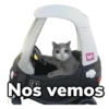 Gatos Sad 12