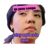 Los polinesios 26