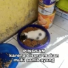 Ayang 9