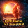 Semana Santa 14