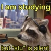 🐼🗑🦝 Raccoons l 🦝 🗑 🐼  17