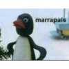 Pingu 21