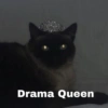 MASCOTAS @joshuacaprii 20