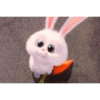 Snowball Rabbit 2 23