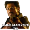 AMMI JAAN KEHTI
THI