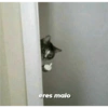Michis tiernos hechos de amor 28