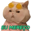 GATINHOS EXPRESSIVOS 😸 10