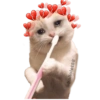 Gatitos Ocurrencias. 19