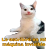 Gatitos Ocurrencias. 8