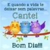 Bom dia,Boa tarde,Boa noite 16