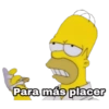 Los Simpson 1 16