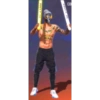 Emotes de free fire 30