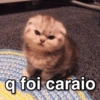 Memes que você gosta 7