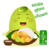 V-Active Kiwi Green 5
