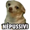 Memes que me identifico 10