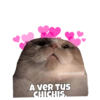 Gatitos Ocurrencias. 9