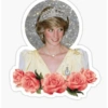 Princesa diana 13