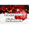 Navideños 21