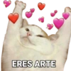 Memes pa enamorados 🤩 13