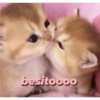Michis tiernos hechos de amor 8