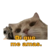 Gatitos Ocurrencias. 25