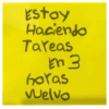 Notas 🟨 13