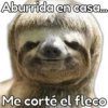 Memes Del Momento II 19
