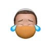 Memojis de cria 👑 16