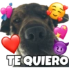 PERRITO CUTE 10