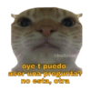 Gatitos Ocurrencias. 14